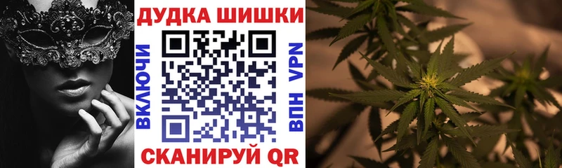 kraken ONION  Губкинский  Конопля сатива 